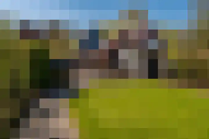 W Jaasmasingel 67 Dwingeloo thumbnail 63