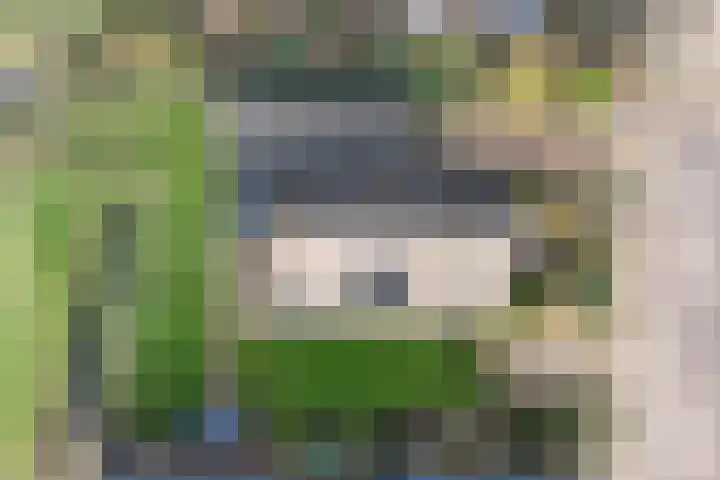 W Jaasmasingel 67 Dwingeloo thumbnail 63