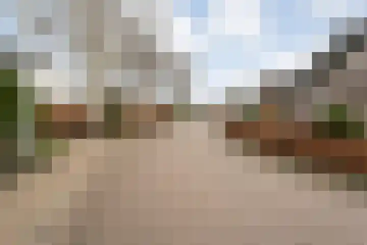 W Jaasmasingel 67 Dwingeloo thumbnail 64