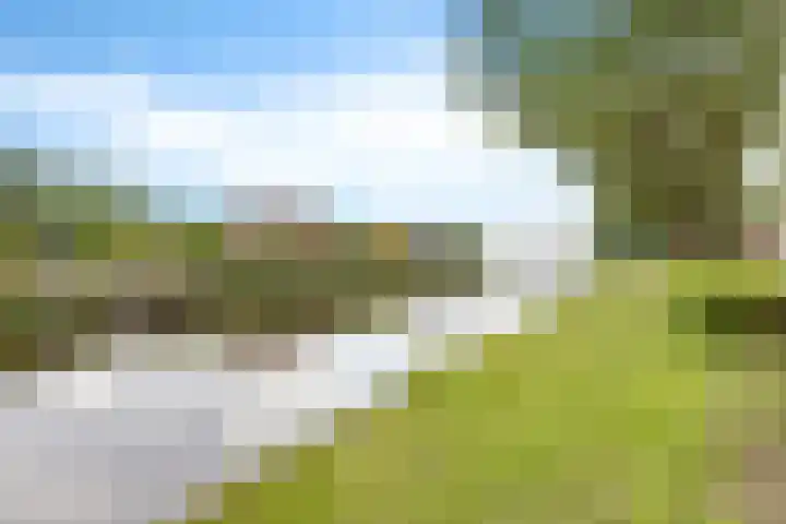 W Jaasmasingel 67 Dwingeloo thumbnail 67