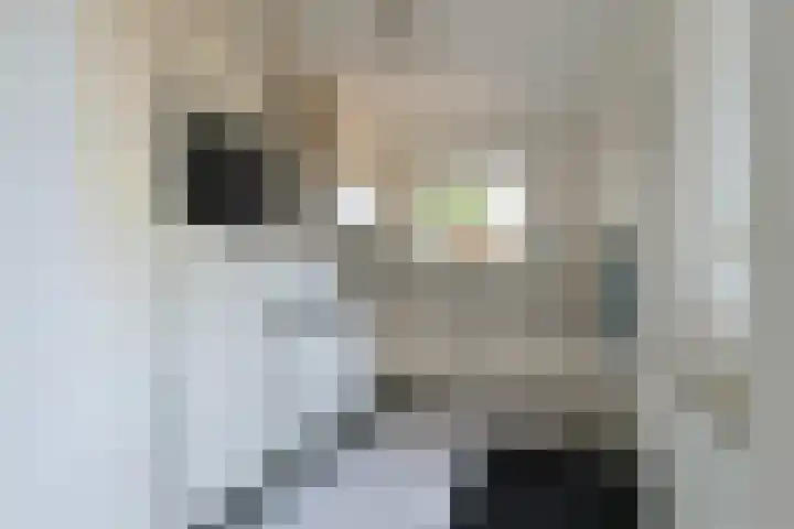 W. Ontzigtstraat 24 Ter Aar thumbnail 14