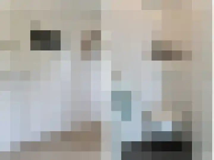 W. Ontzigtstraat 24 Ter Aar thumbnail 16