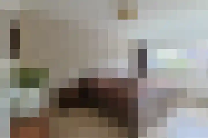 W. Ontzigtstraat 24 Ter Aar thumbnail 18