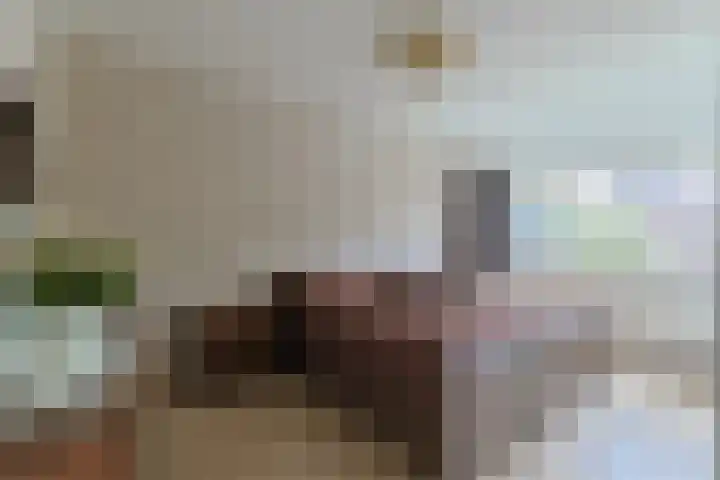 W. Ontzigtstraat 24 Ter Aar thumbnail 19