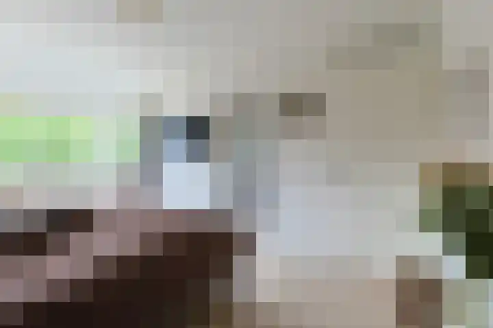 W. Ontzigtstraat 24 Ter Aar thumbnail 20