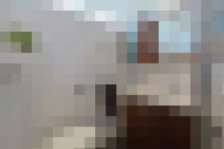 W. Ontzigtstraat 24 Ter Aar thumbnail 30