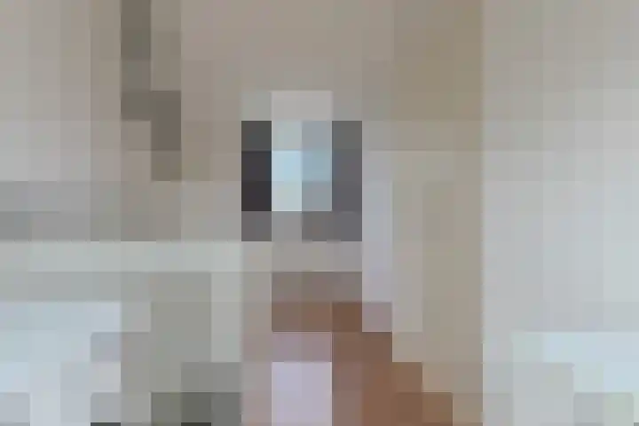 W. Ontzigtstraat 24 Ter Aar thumbnail 32