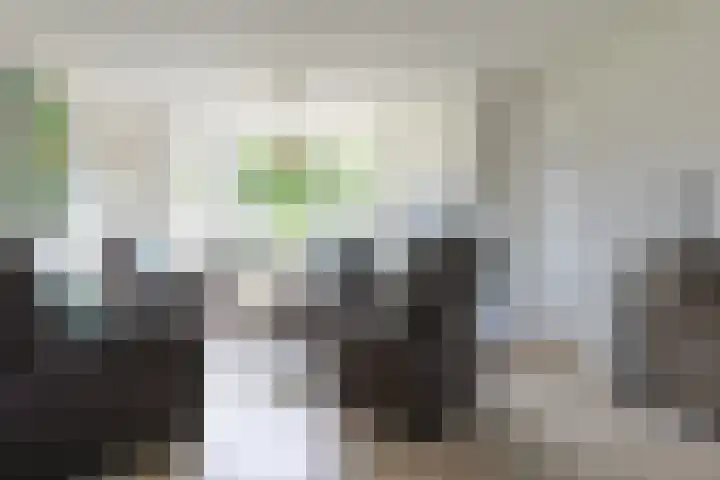 W. Ontzigtstraat 24 Ter Aar thumbnail 8
