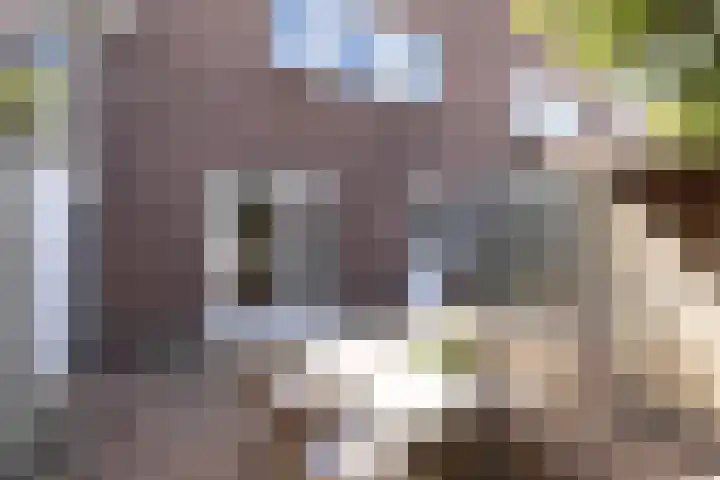 Waagplein 6 Weesp thumbnail 40