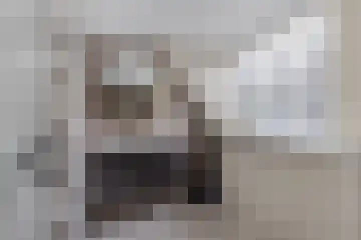 Waagstraat 4 Franeker thumbnail 34