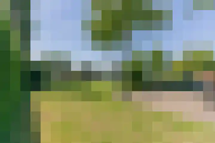 Waaldijk 161 Ridderkerk thumbnail 15