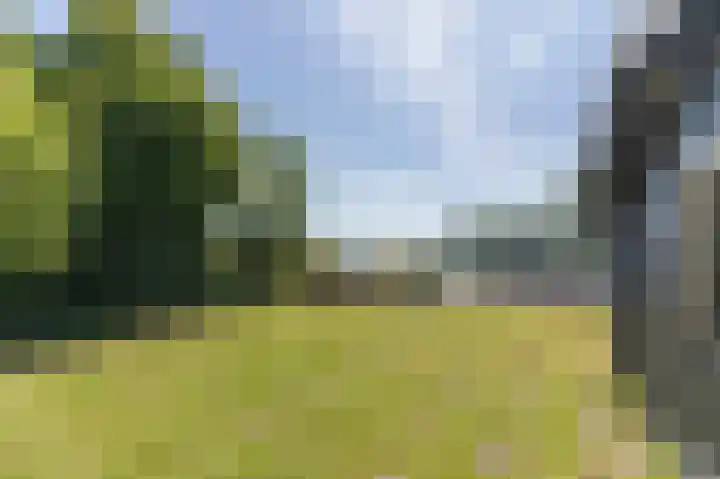 Waaldijk 161 Ridderkerk thumbnail 18