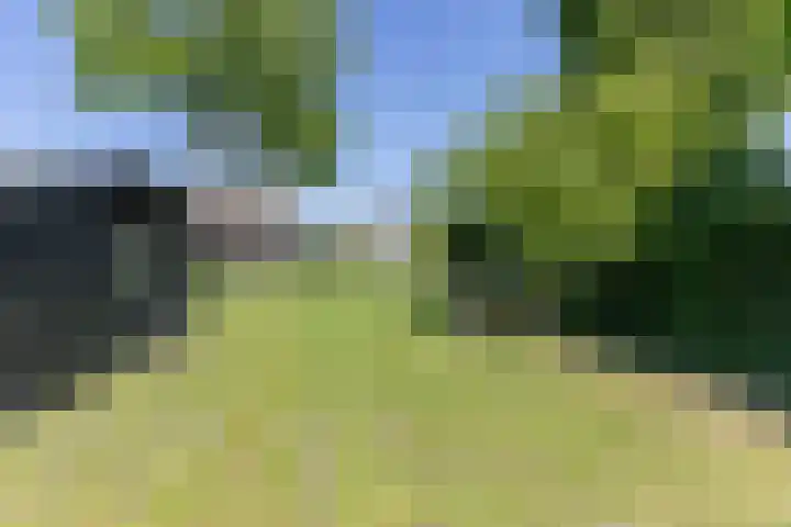 Waaldijk 161 Ridderkerk thumbnail 19