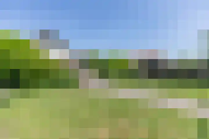 Waaldijk 161 Ridderkerk thumbnail 7