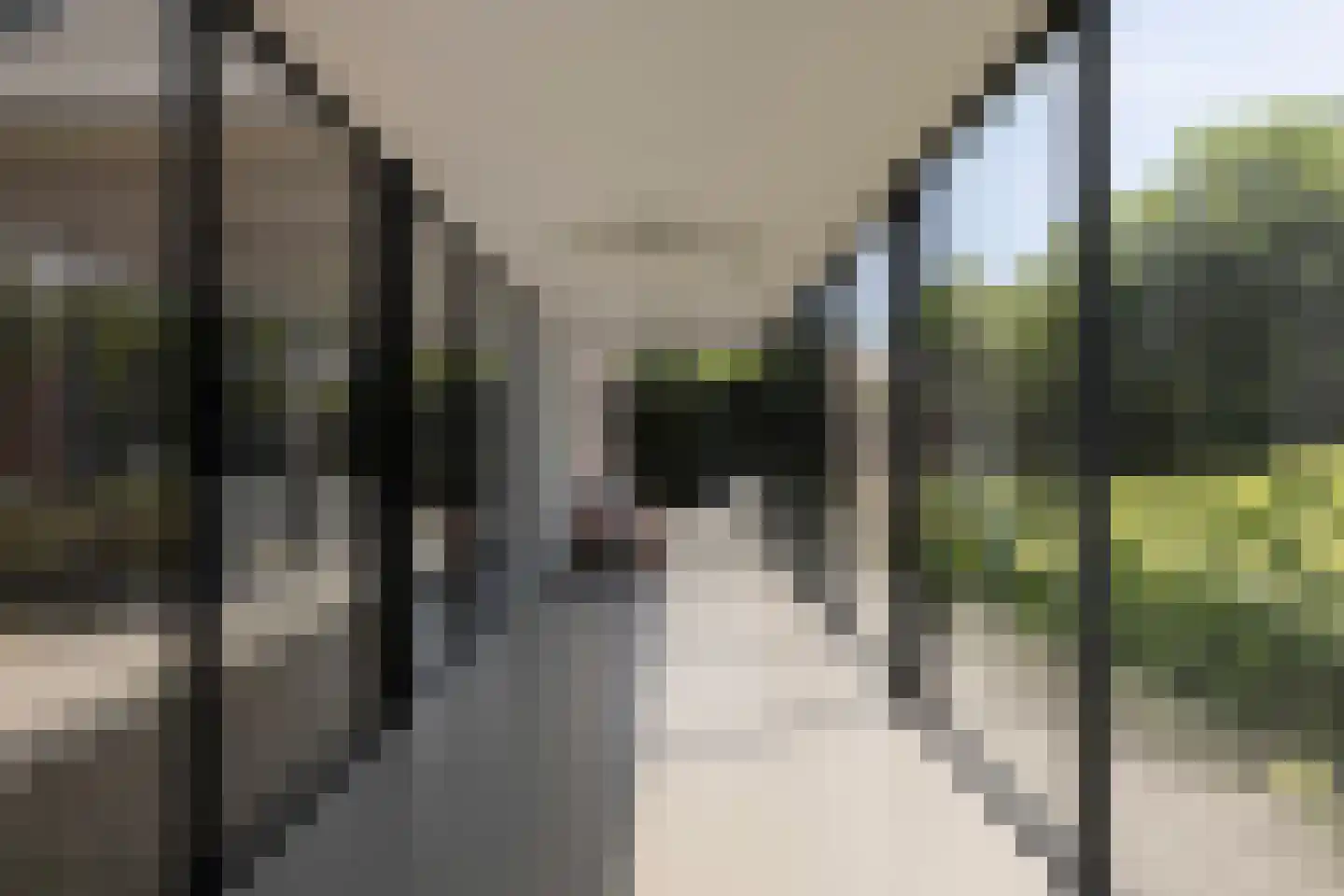 Waaldijk 9 Andelst thumbnail 27