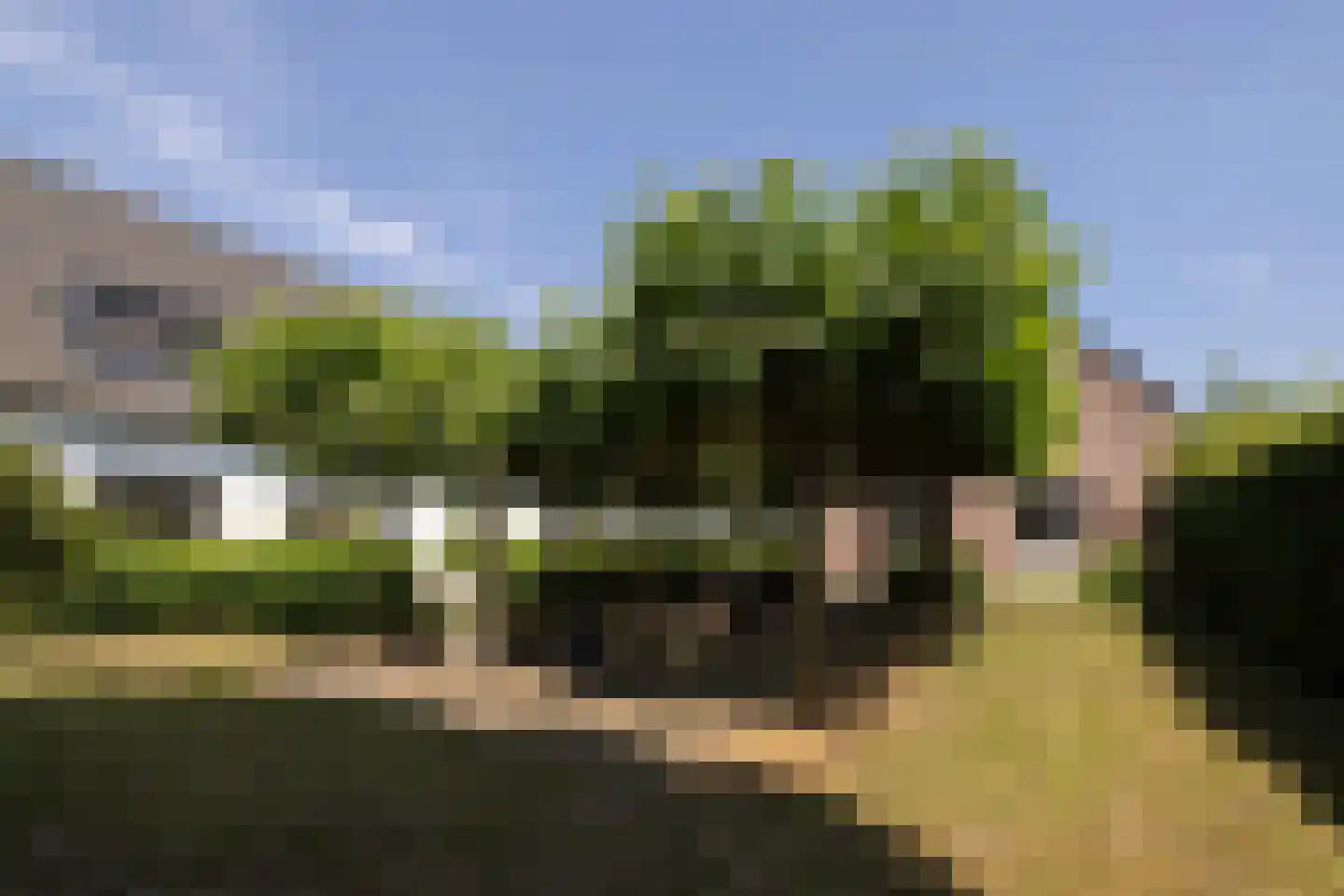 Waaldijk 9 Andelst thumbnail 39