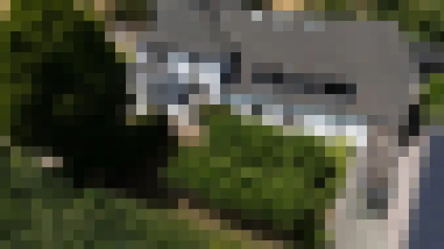 Waaldijk 9 Andelst thumbnail 41