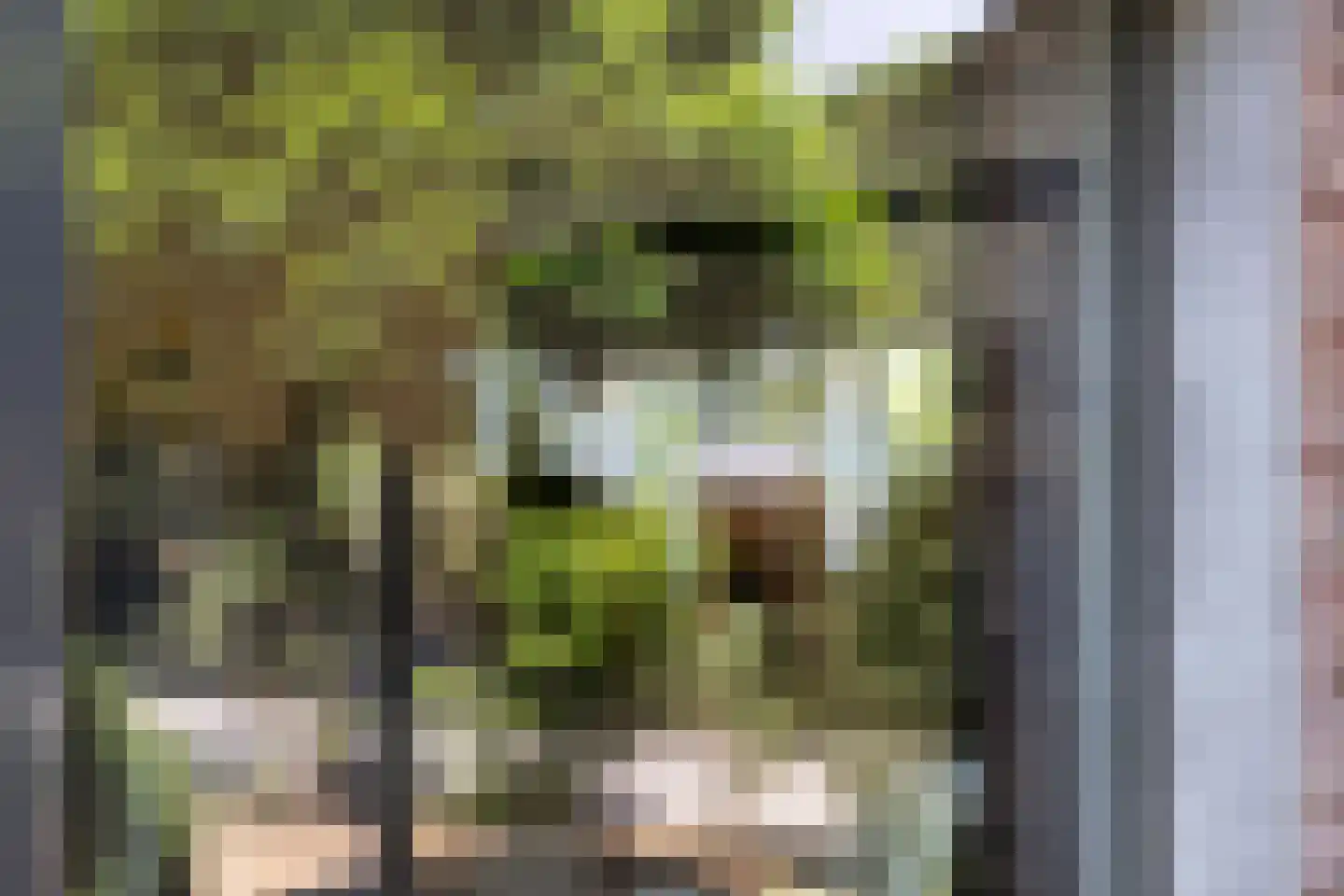 Waaldijk 9 Andelst thumbnail 44