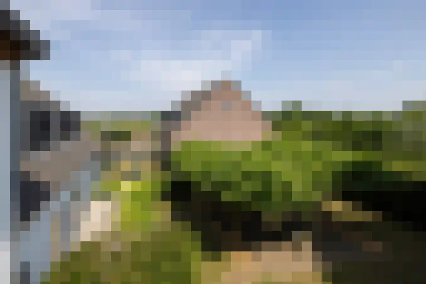 Waaldijk 9 Andelst thumbnail 45