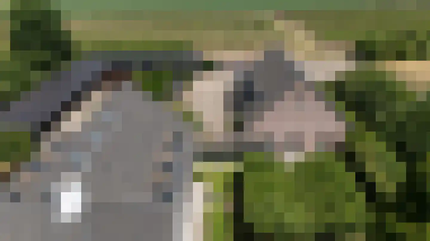 Waaldijk 9 Andelst thumbnail 47
