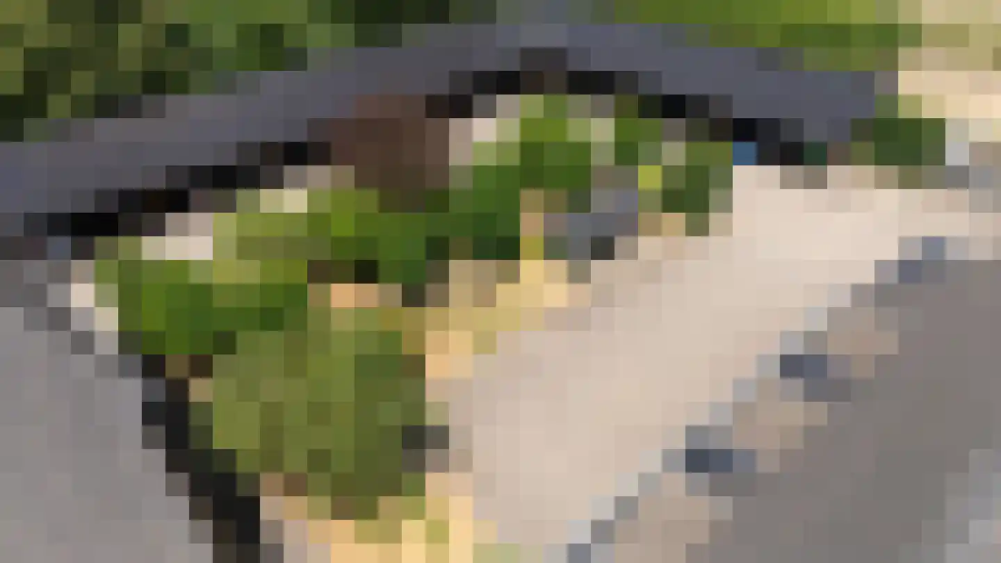 Waaldijk 9 Andelst thumbnail 49