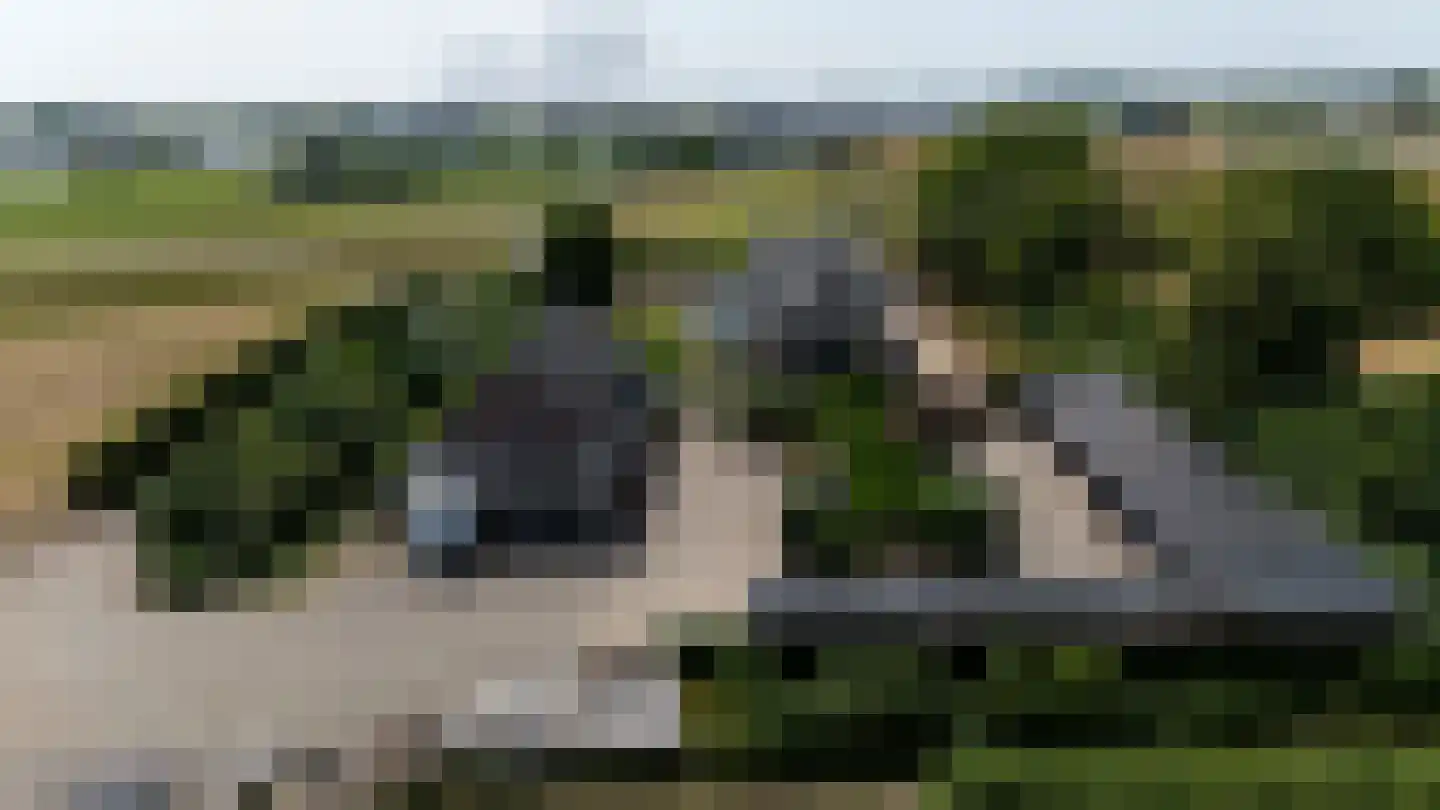 Waaldijk 9 Andelst thumbnail 50