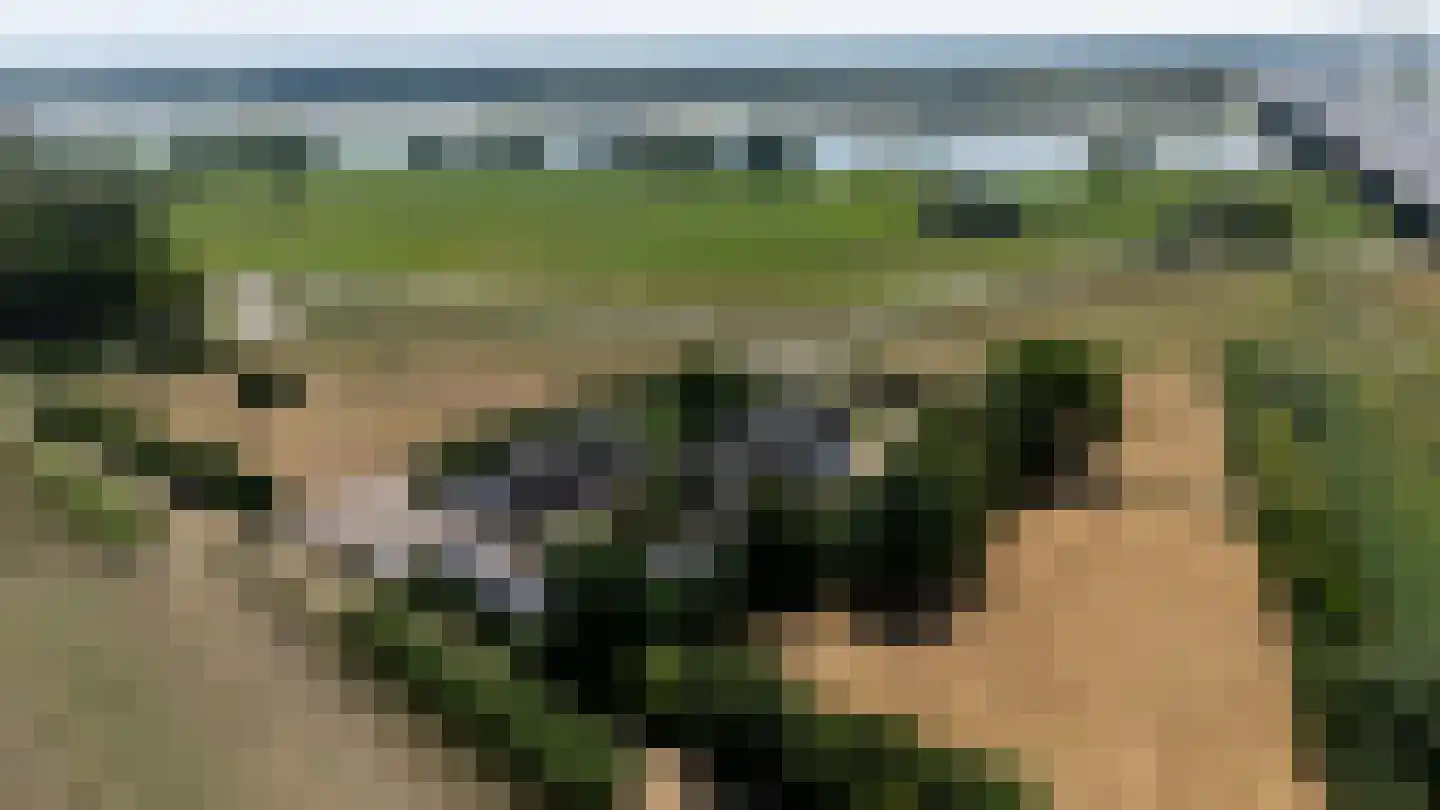 Waaldijk 9 Andelst thumbnail 51
