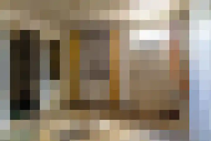 Waaldijk 91 Brakel thumbnail 10