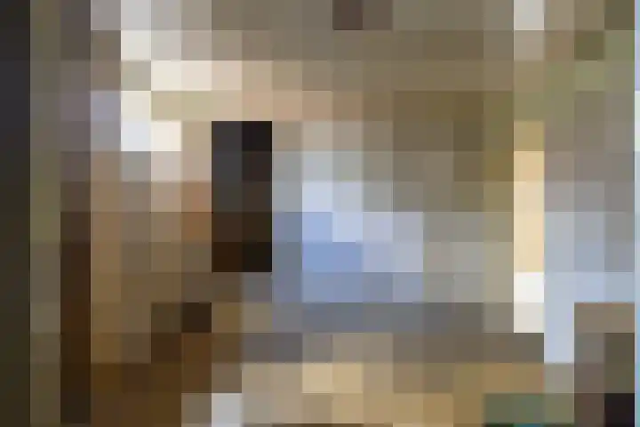 Waaldijk 91 Brakel thumbnail 11