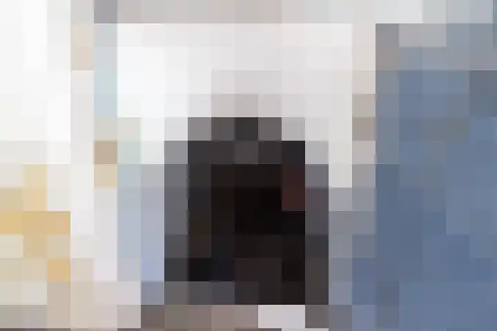 Waaldijk 91 Brakel thumbnail 12