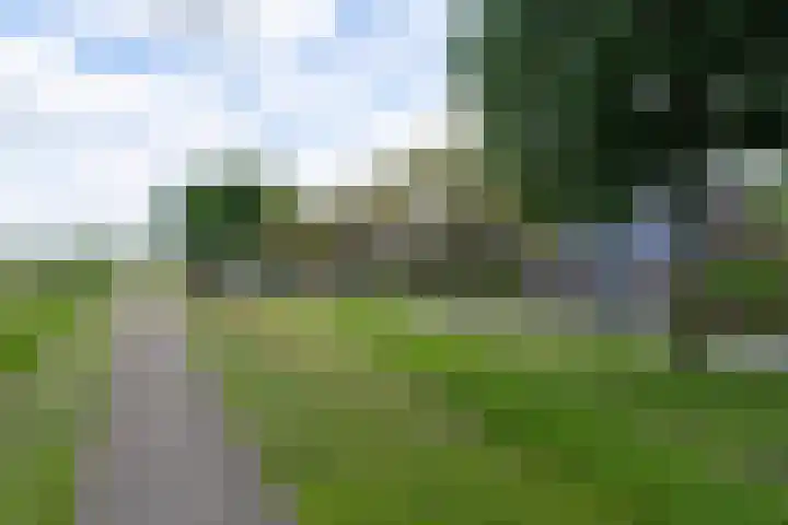 Waaldijk 91 Brakel thumbnail 16