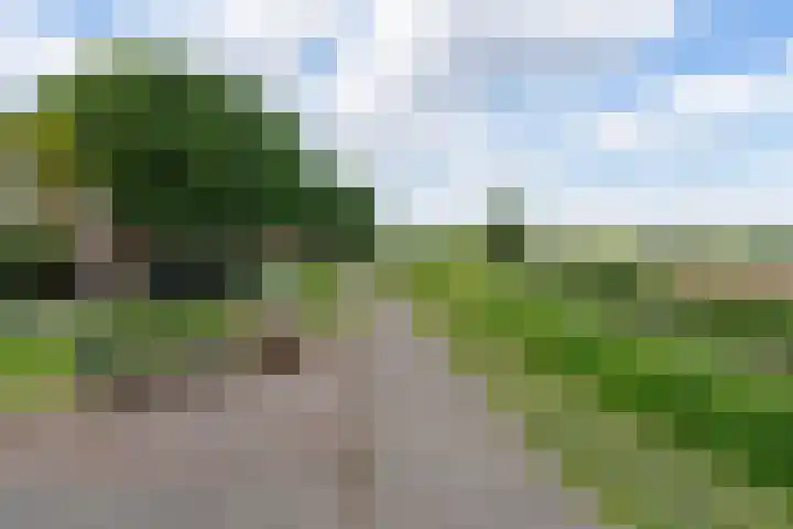 Waaldijk 91 Brakel thumbnail 17