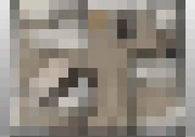 Waaldijk 91 Brakel thumbnail 19
