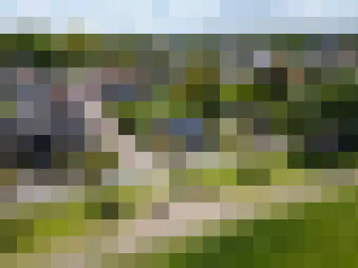Waaldijk 91 Brakel thumbnail 22