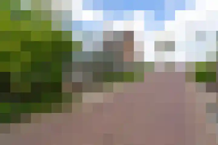 Waaldijk 91 Brakel thumbnail 6