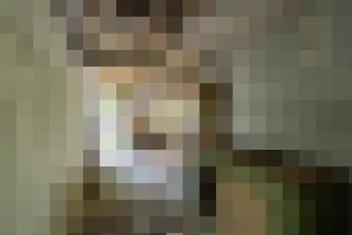 Waaldijk 91 Brakel thumbnail 8