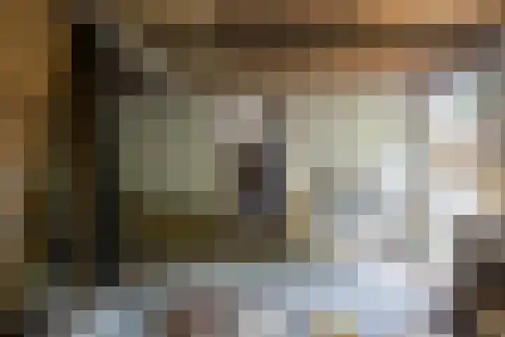 Waaldijk 91 Brakel thumbnail 9