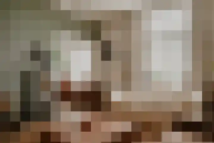 Waaldijk 97 Brakel thumbnail 10