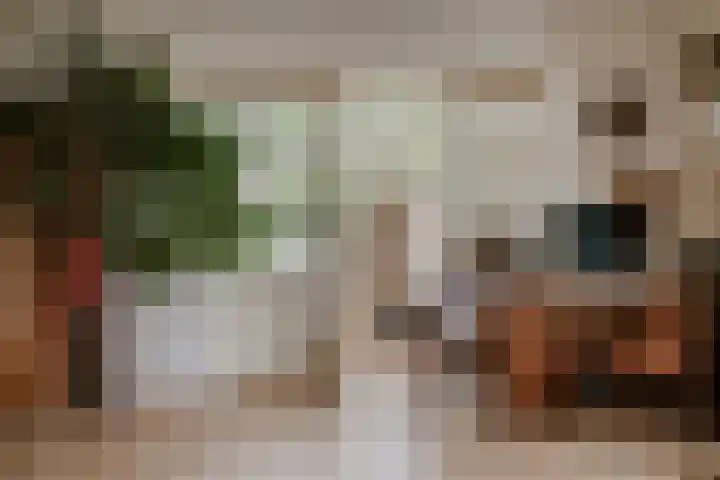 Waaldijk 97 Brakel thumbnail 13