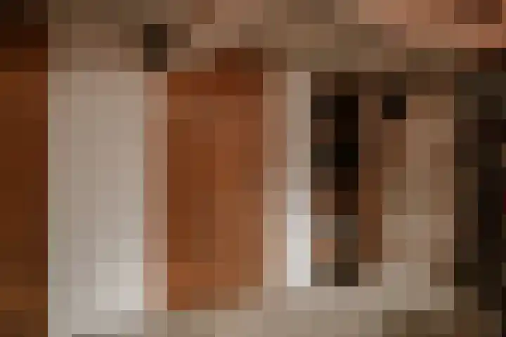 Waaldijk 97 Brakel thumbnail 20