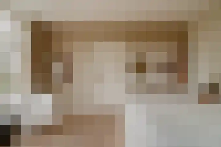 Waaldijk 97 Brakel thumbnail 24