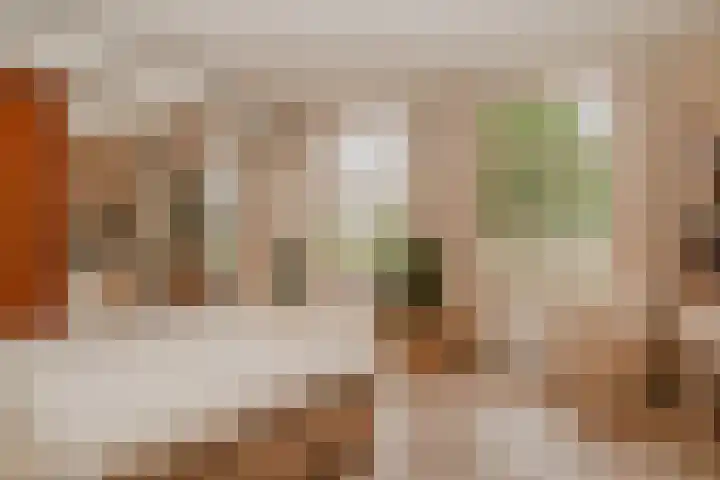 Waaldijk 97 Brakel thumbnail 26