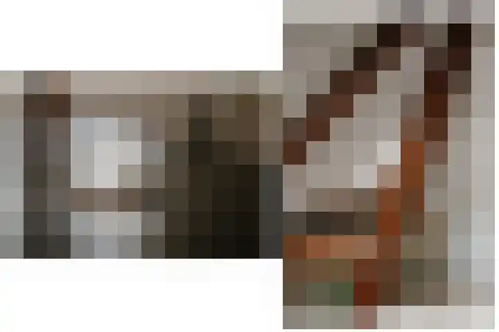 Waaldijk 97 Brakel thumbnail 33