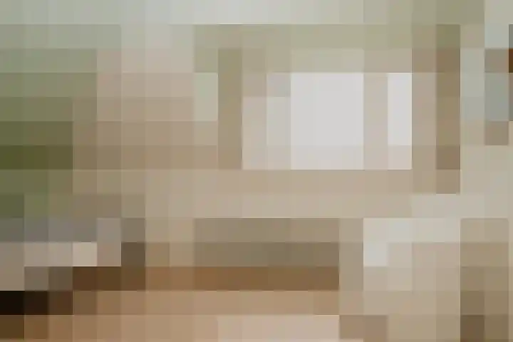 Waaldijk 97 Brakel thumbnail 34