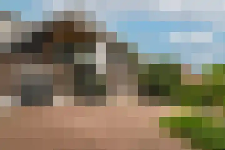 Waaldijk 97 Brakel thumbnail 37