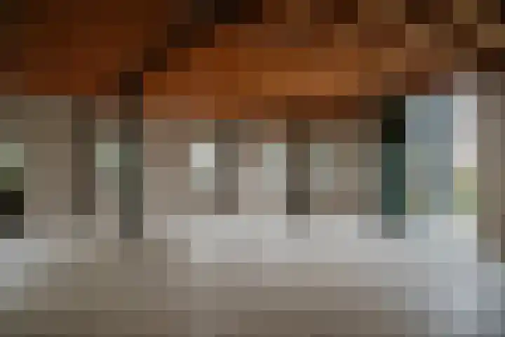 Waaldijk 97 Brakel thumbnail 38