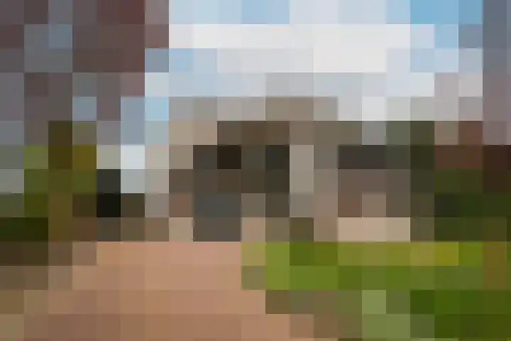 Waaldijk 97 Brakel thumbnail 4