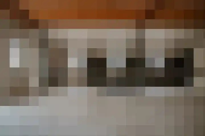Waaldijk 97 Brakel thumbnail 40