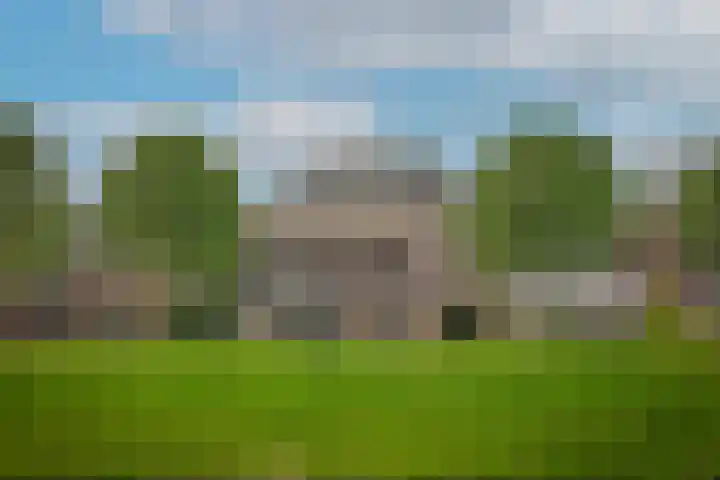 Waaldijk 97 Brakel thumbnail 5