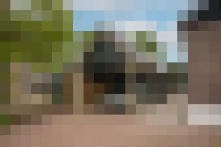 Waaldijk 97 Brakel thumbnail 51